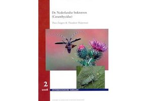De Nederlandse Boktorren (Cerambycidae)