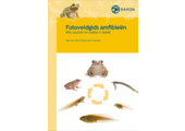 Fotoveldgids amfibieën