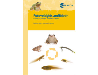 Fotoveldgids amfibieën