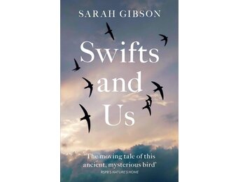 Swifts and Us