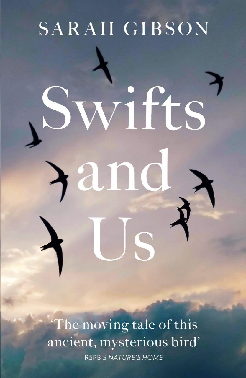 Swifts and Us - The Life of the Bird that Sleeps in the Sky