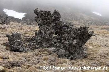 Jan Mayen - Natur und Geschichte des Außenpostens im Nordatlantik