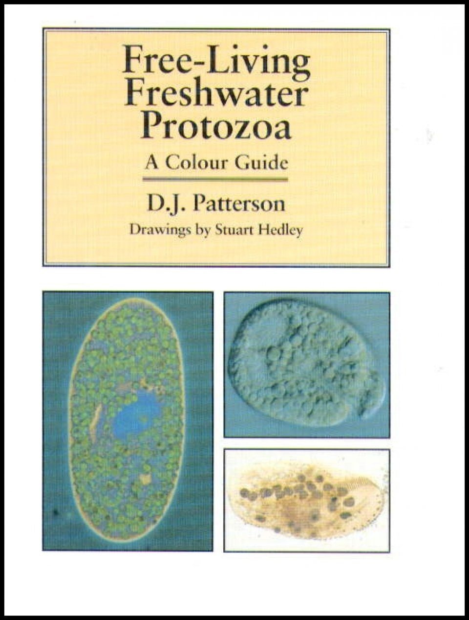Free-Living Freshwater Protozoa  - A Colour Guide