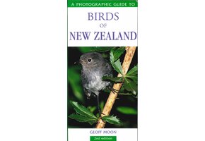 Photographic Guide To Birds Of New Zealand