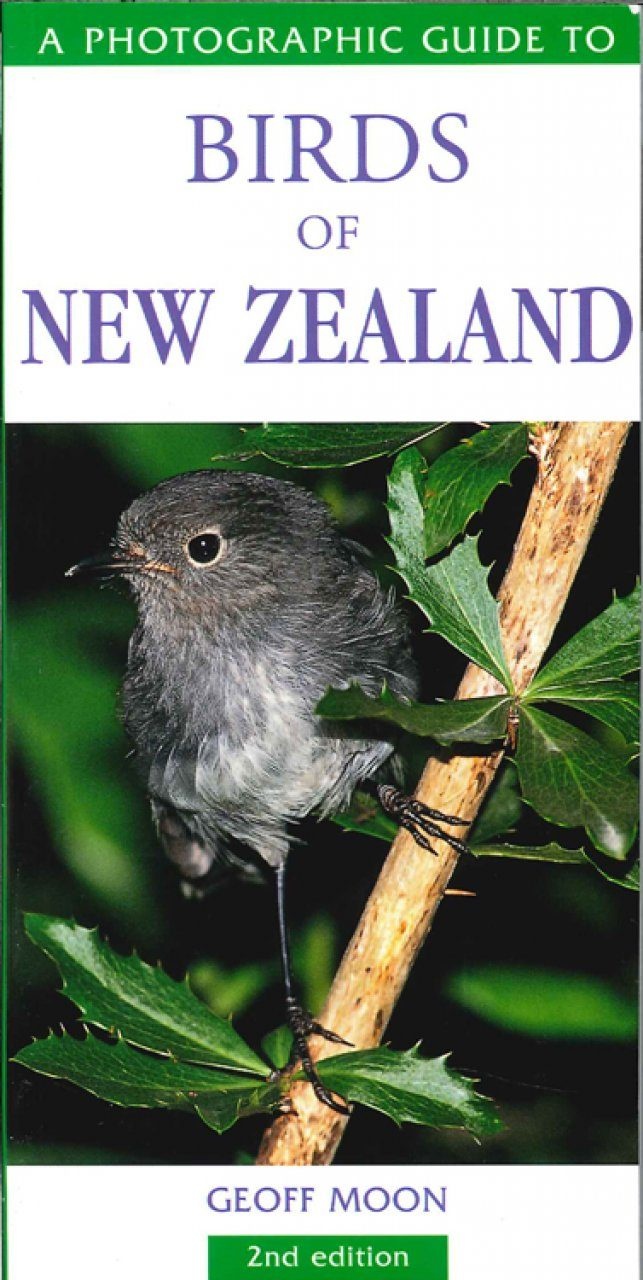 Photographic Guide To Birds Of New Zealand