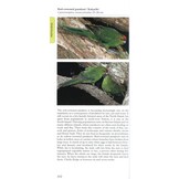 Photographic Guide To Birds Of New Zealand