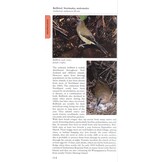 Photographic Guide To Birds Of New Zealand