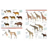 All the Mammals of the World