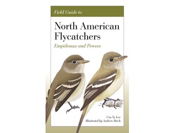 Field Guide to North American Flycatchers - Empidonax and Pewees