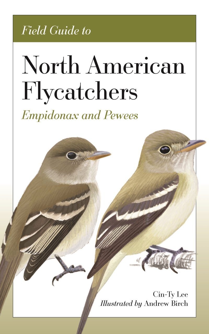 Field Guide to North American Flycatchers - Empidonax and Pewees