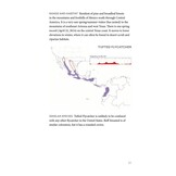 Field Guide to North American Flycatchers - Empidonax and Pewees