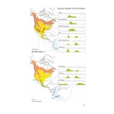 Field Guide to North American Flycatchers - Empidonax and Pewees