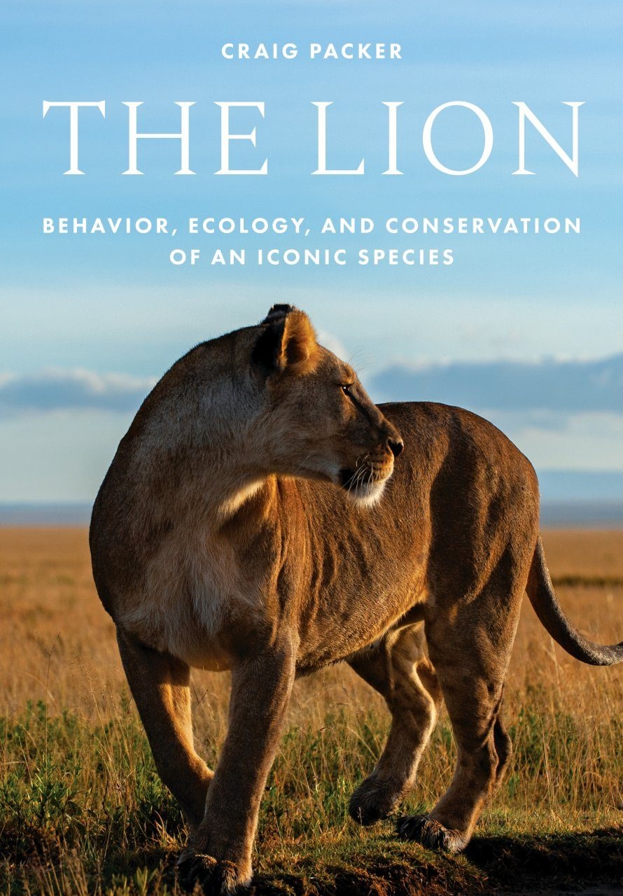 The Lion - Behavior, Ecology, and Conservation of an Iconic Species