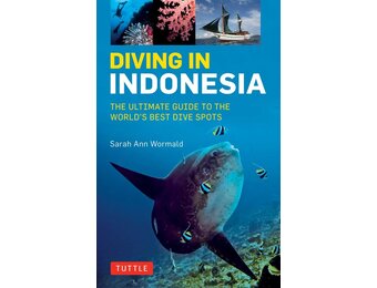 Diving in Indonesia