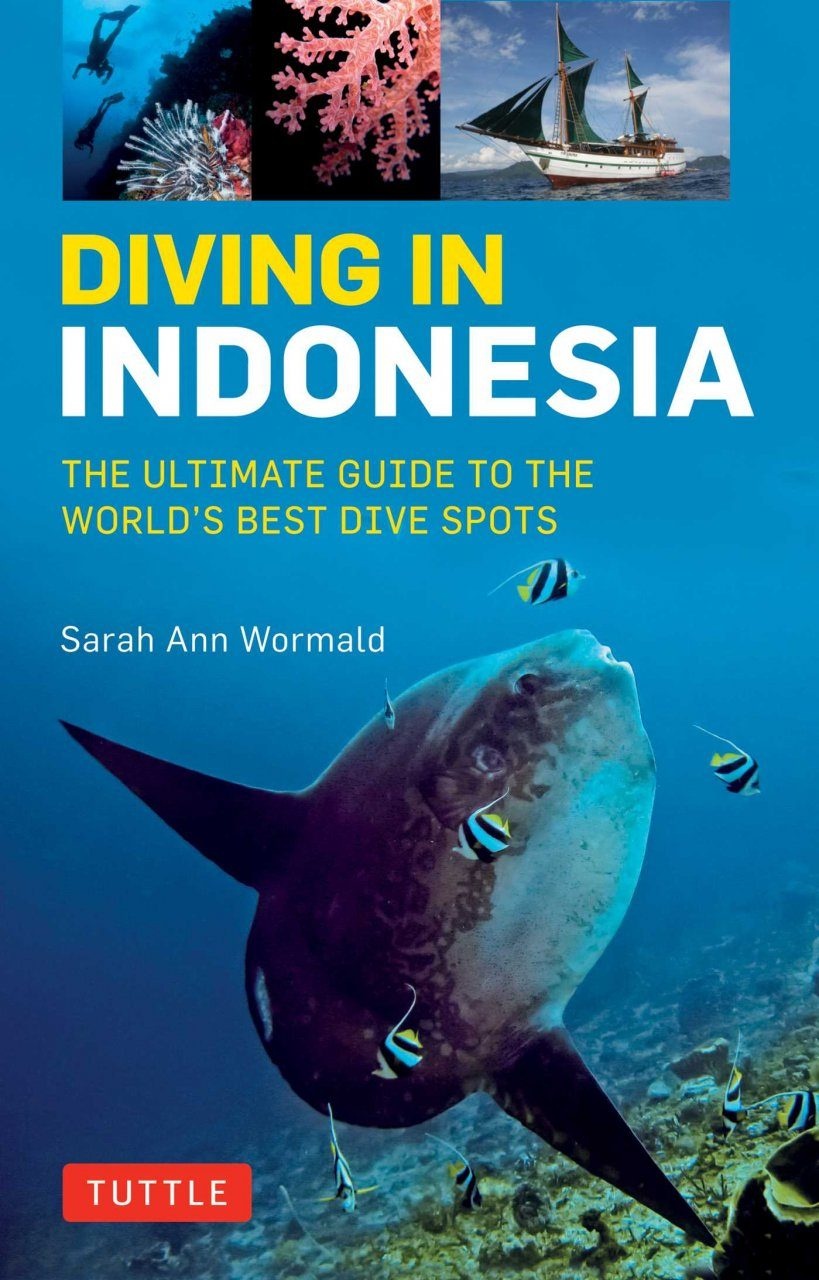 Diving in Indonesia - The Ultimate Guide to the World's Best Dive Spots