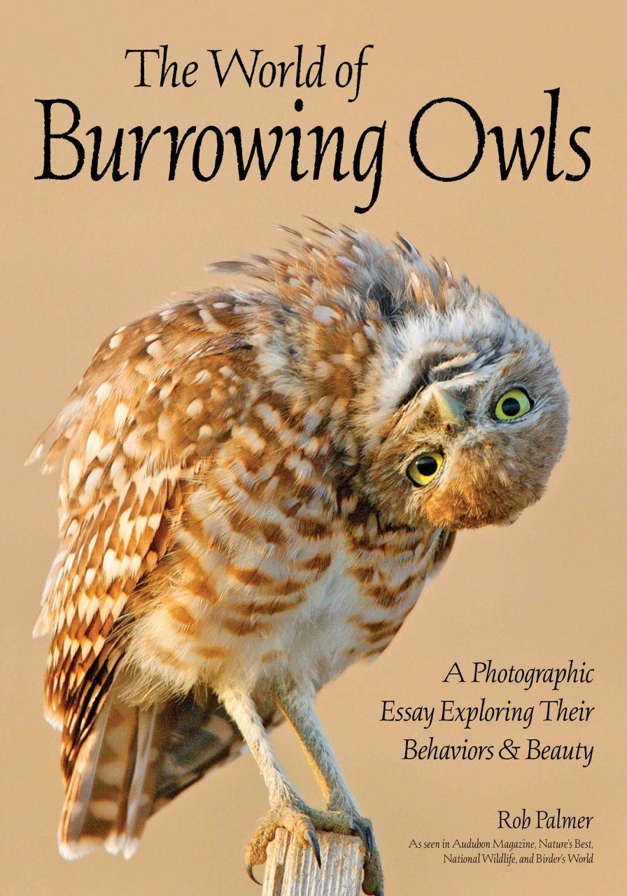 The World of Burrowing Owls - A Photographic Essay Exploring Their Behaviors & Beauty