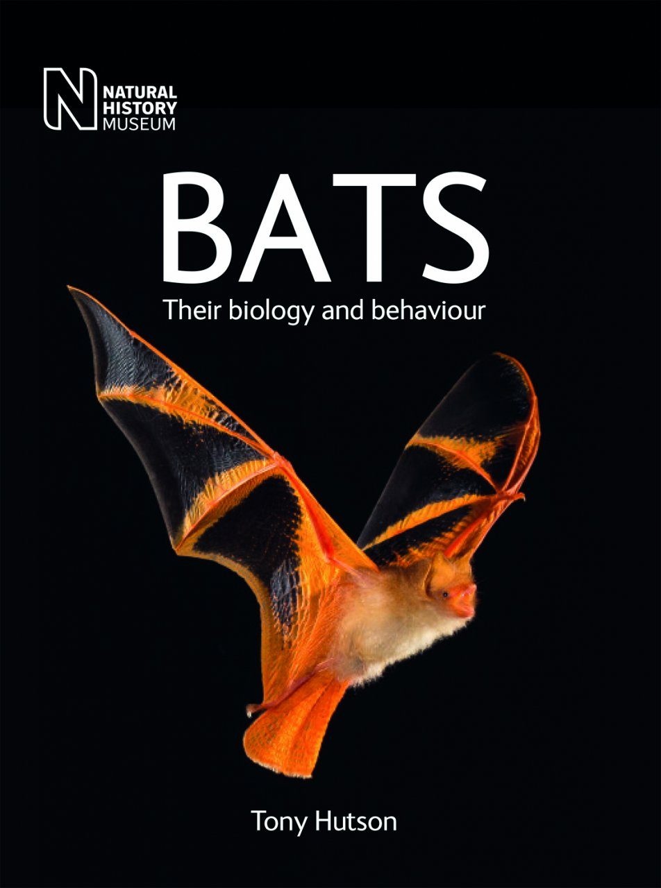 Bats - Their biology and behaviour