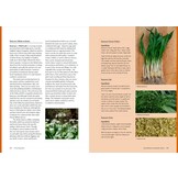 Edible Plants - A forager's guide to the plants and seaweeds of Britain, Ireland and temperate Europe
