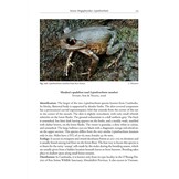 Amphibians of Cambodia - A Field Guide