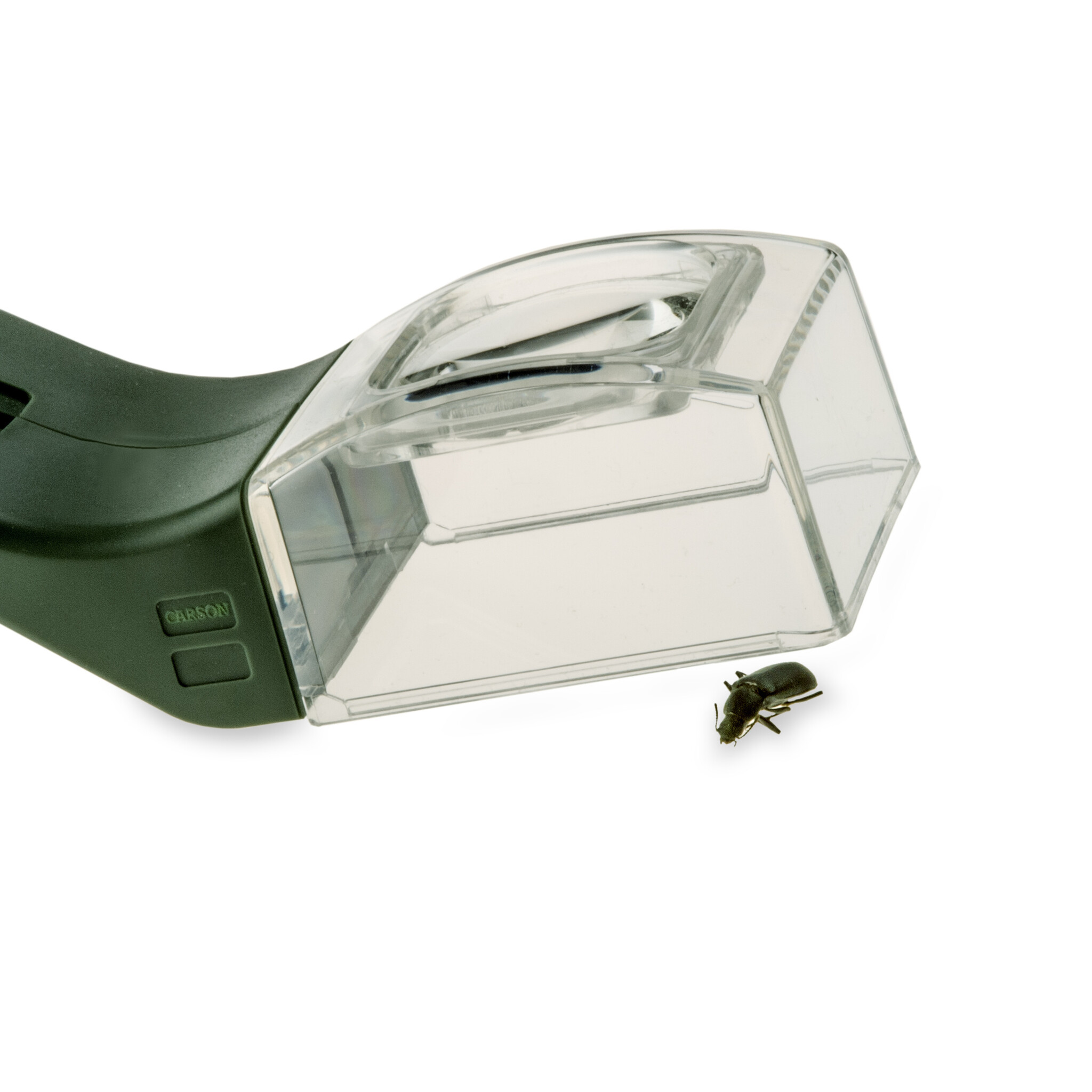 Carson Insectenvanger met vergrootglas