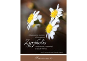 Taxonomic Revision of the genus Zyrphelis in South Africa