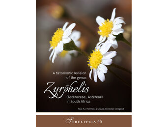 Taxonomic Revision of the genus Zyrphelis in South Africa