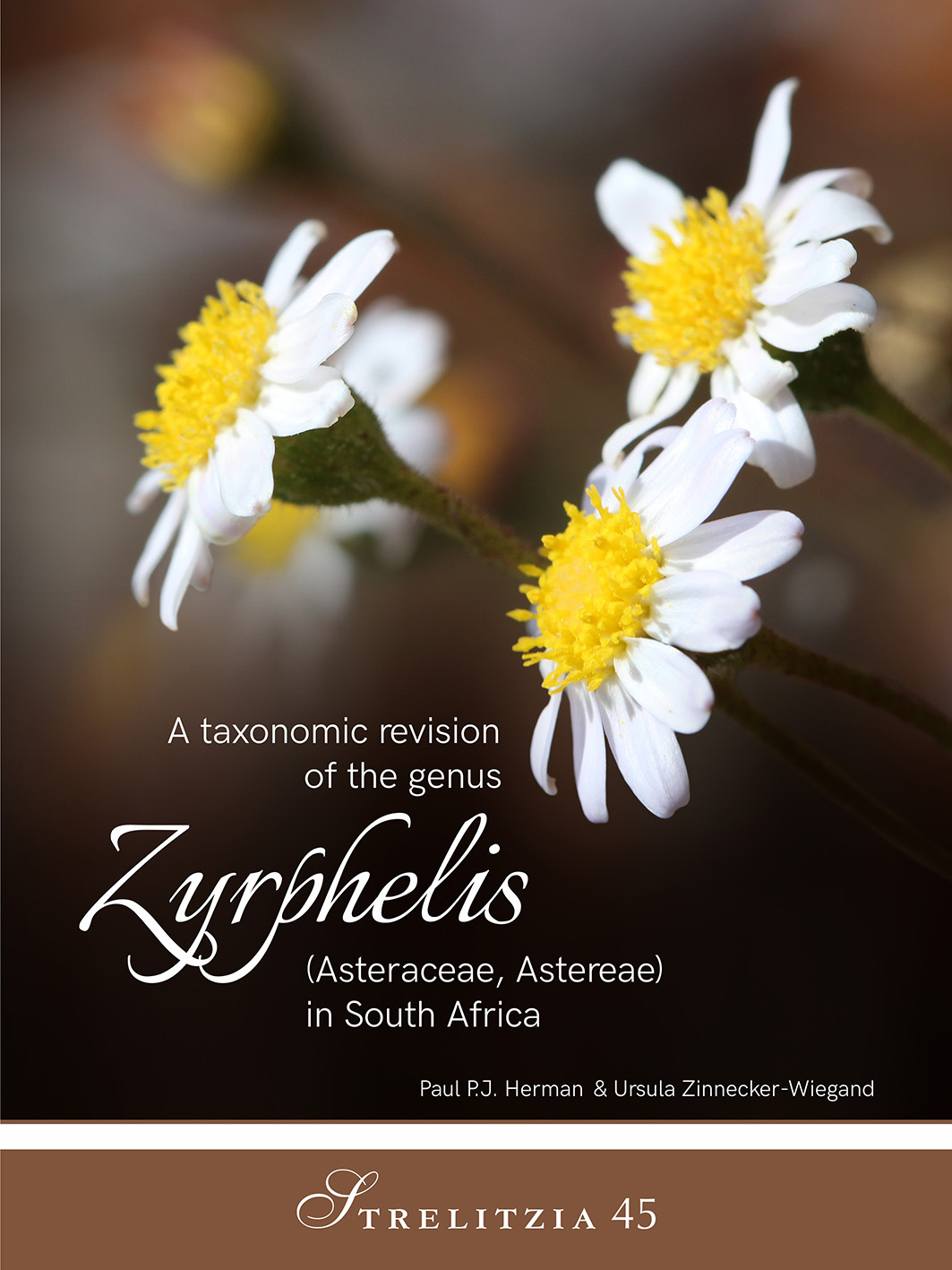 Taxonomic Revision of the genus Zyrphelis in South Africa (Strelitzia 45)