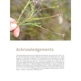 Taxonomic Revision of the genus Zyrphelis in South Africa (Strelitzia 45)