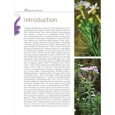 Taxonomic Revision of the genus Zyrphelis in South Africa (Strelitzia 45)