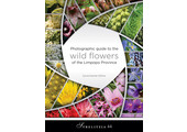 Photographic Guide to the Wild Flowers of the Limpopo Province