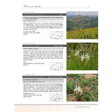 Photographic Guide to the Wild Flowers of the Limpopo Province (Strelitzia 44)