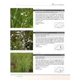 Photographic Guide to the Wild Flowers of the Limpopo Province (Strelitzia 44)