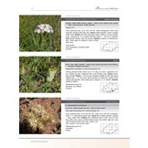 Photographic Guide to the Wild Flowers of the Limpopo Province (Strelitzia 44)