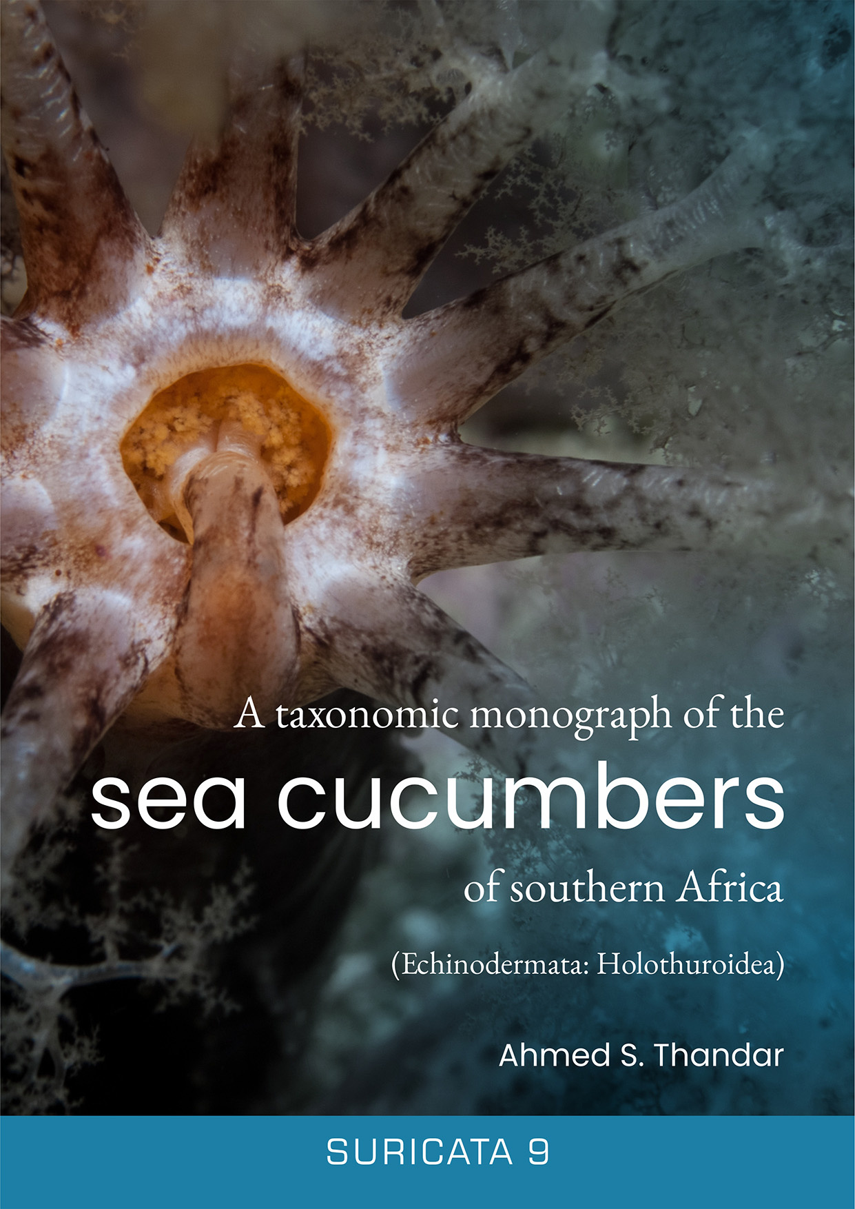 A Taxonomic Monograph of the Sea Cucumbers of Southern Africa (Echinodermata: Holothuroidea)