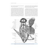 A Taxonomic Monograph of the Sea Cucumbers of Southern Africa (Echinodermata: Holothuroidea)