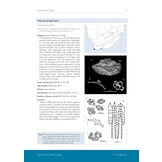 A Taxonomic Monograph of the Sea Cucumbers of Southern Africa (Echinodermata: Holothuroidea)