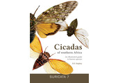Cicadas of southern Africa