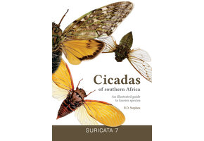 Cicadas of southern Africa