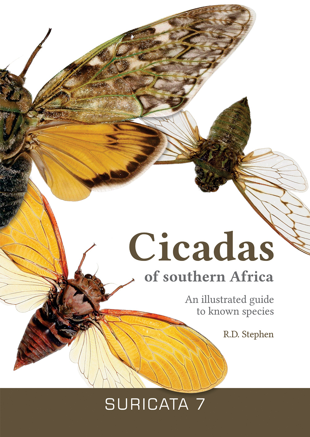 Cicadas of southern Africa - An illustrated guide to known species