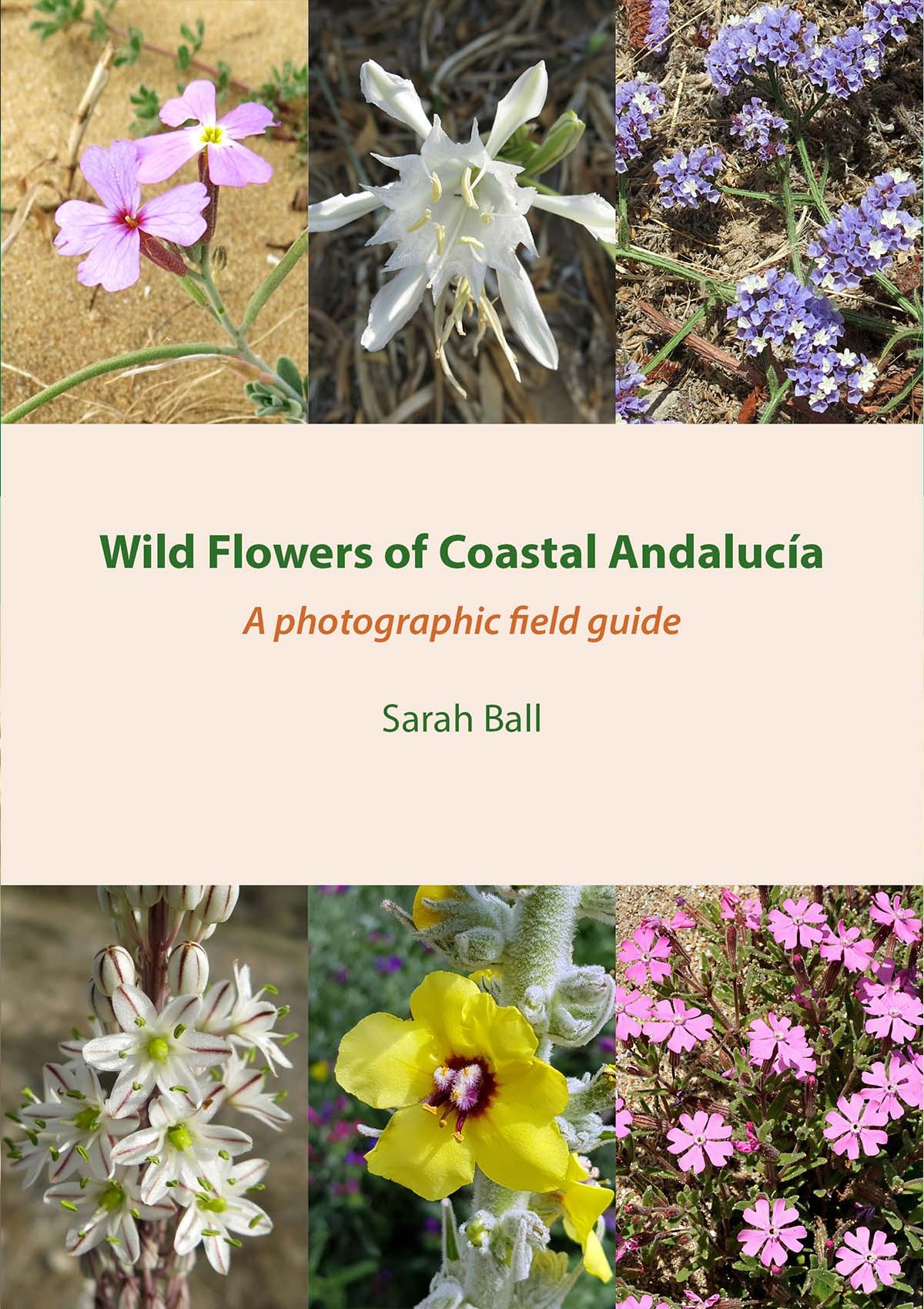 Wild Flowers of Coastal Andaluci­a