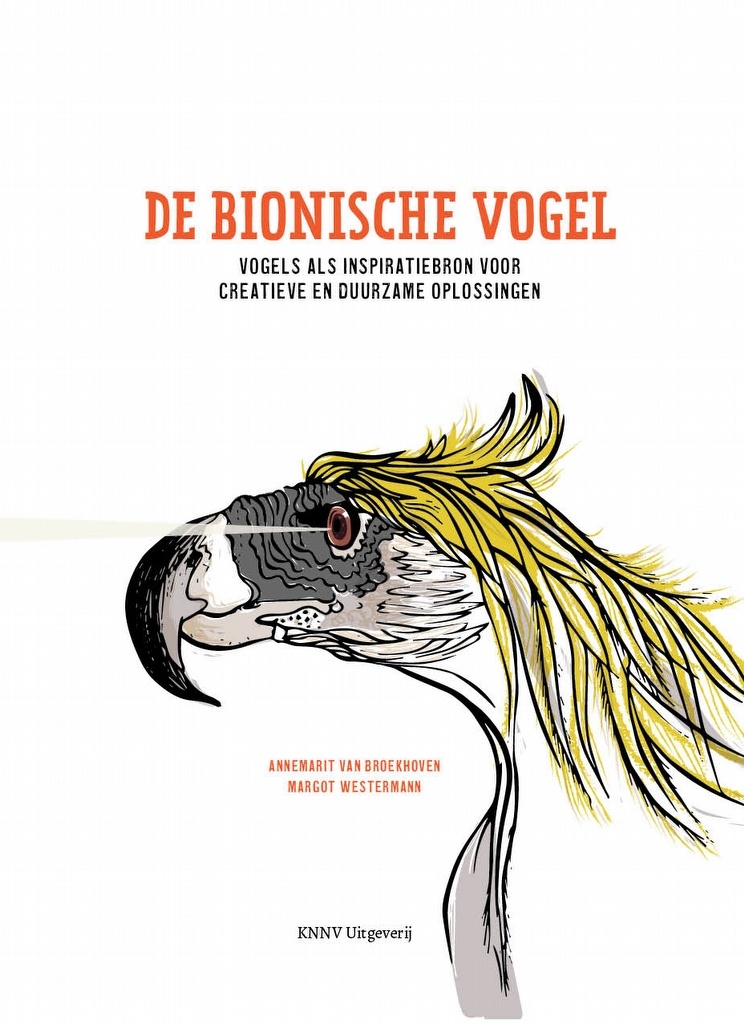 De bionische vogel - Vogels als inspiratiebron voor creatieve en duurzame oplossingen