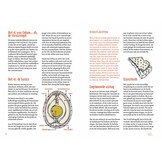 De bionische vogel - Vogels als inspiratiebron voor creatieve en duurzame oplossingen