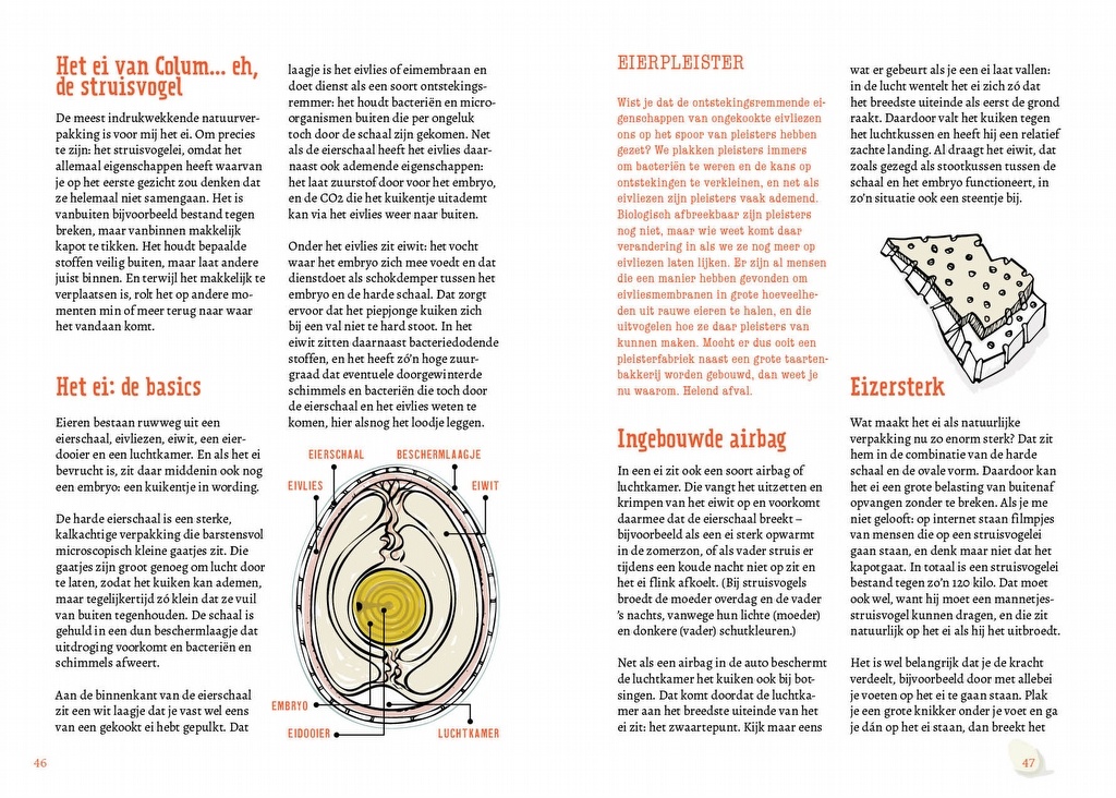 De bionische vogel - Vogels als inspiratiebron voor creatieve en duurzame oplossingen
