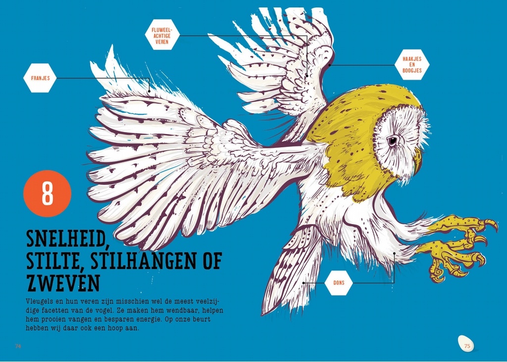 De bionische vogel - Vogels als inspiratiebron voor creatieve en duurzame oplossingen