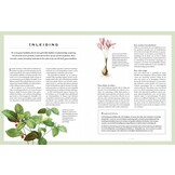 Botanicum Medicinale - Een modern herbarium van geneeskrachtige planten