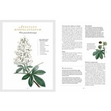 Botanicum Medicinale - Een modern herbarium van geneeskrachtige planten