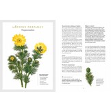 Botanicum Medicinale - Een modern herbarium van geneeskrachtige planten