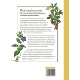 Botanicum Medicinale - Een modern herbarium van geneeskrachtige planten