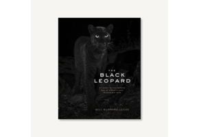 The Black Leopard