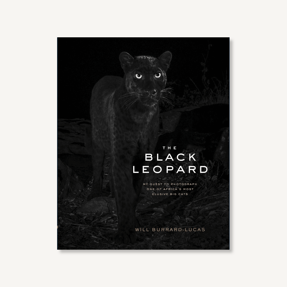 The Black Leopard - My Quest to Photograph One of Africa's Most Elusive Big Cats